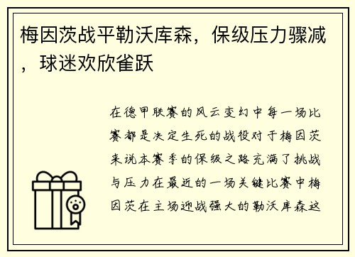 梅因茨战平勒沃库森，保级压力骤减，球迷欢欣雀跃