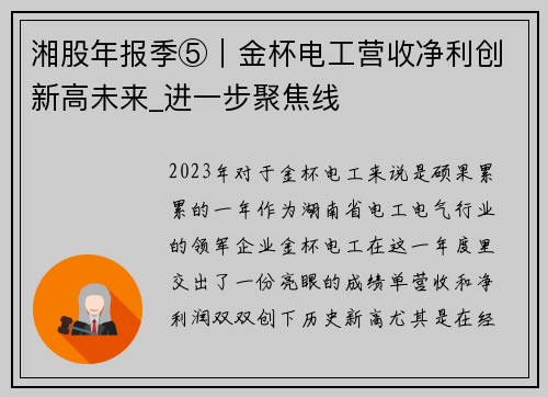 湘股年报季⑤｜金杯电工营收净利创新高未来_进一步聚焦线