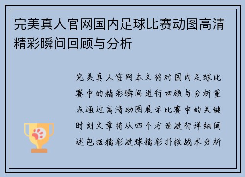 完美真人官网国内足球比赛动图高清精彩瞬间回顾与分析
